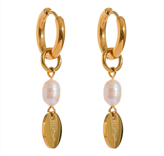 Stainless steel earrings