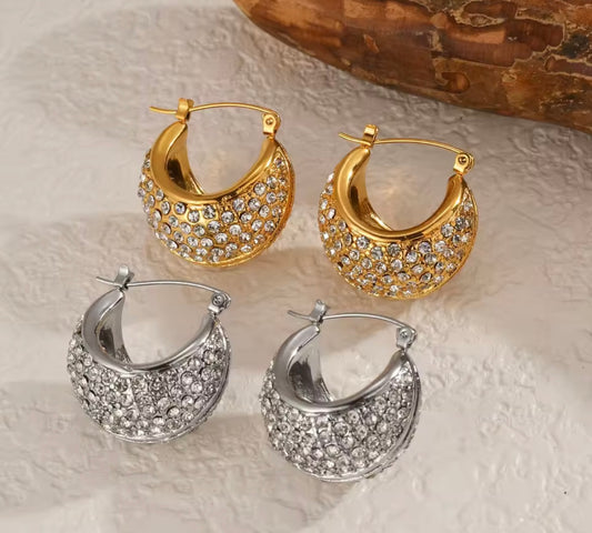 Earrings stainless steel with zircons