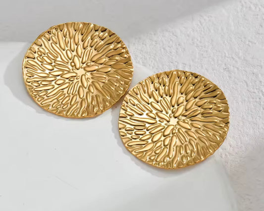 Earrings stainless steel