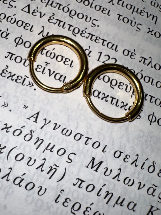 Stainless steel hoops earrings gold