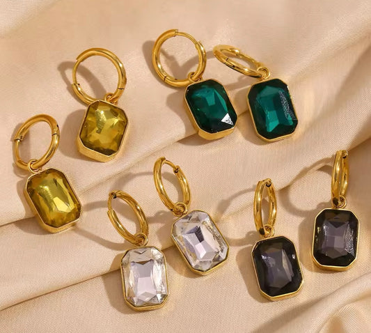 Stainless steel Zicronia  earrings